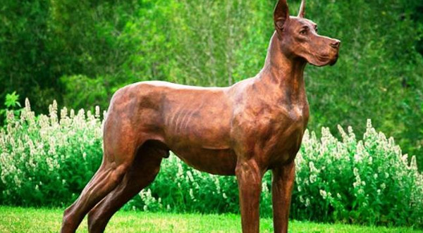 Khám Phá Những Giống Chó Nguy Hiểm Trên Toàn Thế Giới