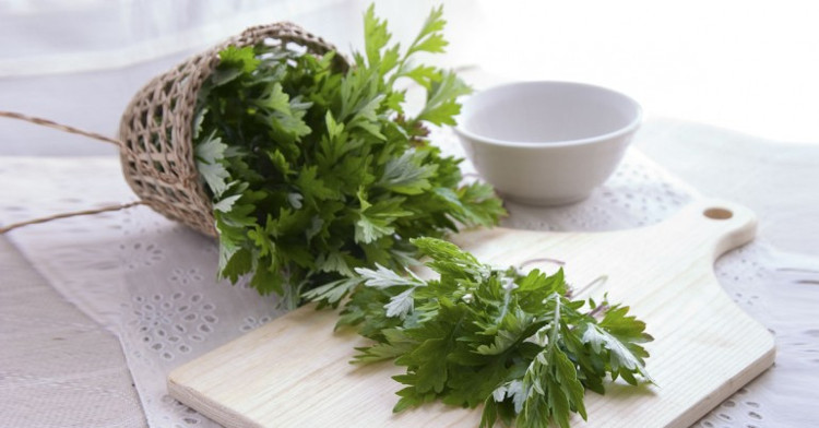 Ngải cứu còn được sử dụng làm nguyên liệu chăm sóc sắc đẹp.