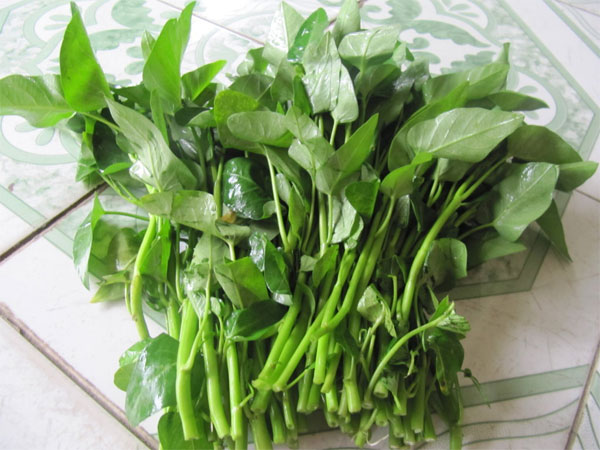 Ăn rau muống sống có thể dẫn đến nhiều nguy cơ