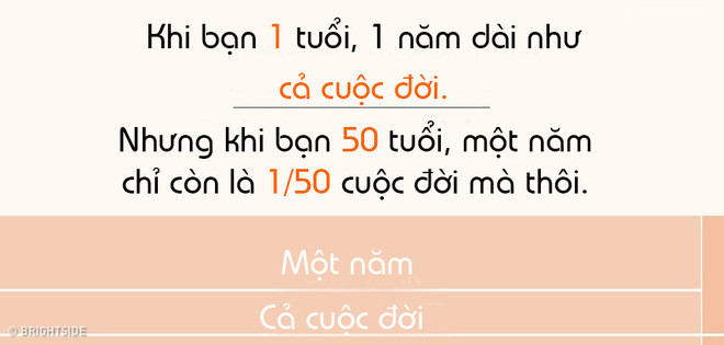 Khi bạn 50 tuổi, một năm chỉ còn là 2% cuộc sống của bạn.