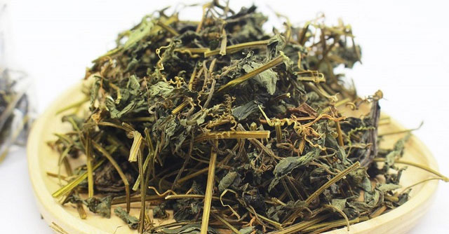 Giảo Cổ Lam: Thảo Dược Quý Giúp Cải Thiện Sức Khỏe Tự Nhiên