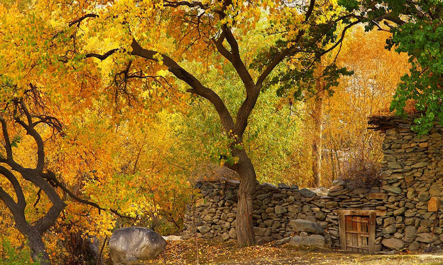 Phụ nữ Hunza có khả năng mang thai tự nhiên