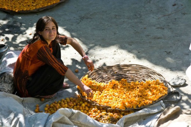Nước từ sông băng tinh khiết