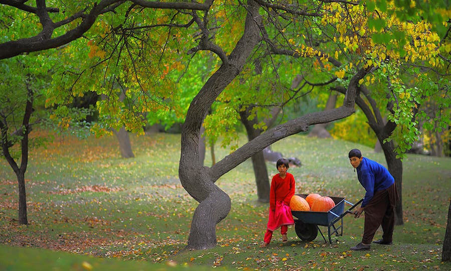 Mùa xuân tại Hunza