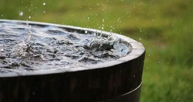 Nước Mưa Trên Toàn Thế Giới: Mối Nguy Hiểm Khôn Lường Từ Các Hóa Chất Độc Hại
