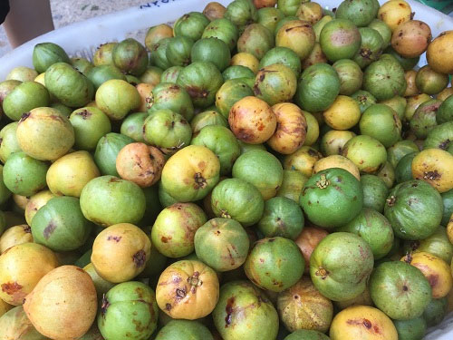 Quả bứa không chỉ làm gia vị cho món ăn mà còn tốt cho sức khỏe