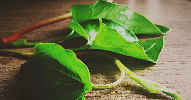 Điểm Danh Công Dụng Tuyệt Vời Của Rau Diếp Cá Cho Sức Khỏe