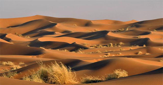 Khám Phá Sa Mạc Sahara: Những Bí Mật Chưa Từng Được Khám Phá