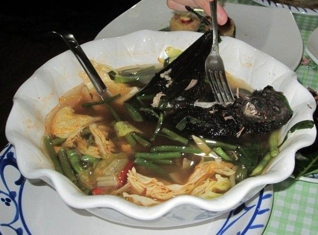 Súp dơi