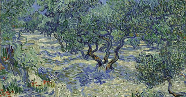 Xác châu chấu ẩn trong ‘Những cây ô-liu’ của Van Gogh: khám phá và hệ quả