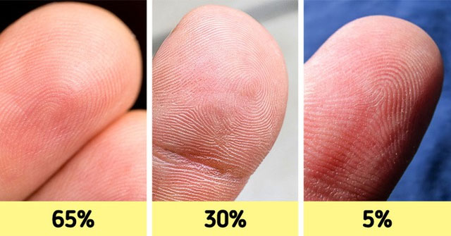 Khám Phá 12 Đặc Điểm Cơ Thể Hiếm Gặp Mà Bạn Có Thể Không Biết