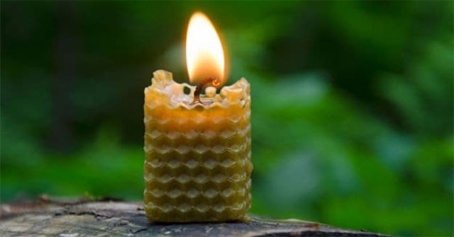 9 Phương Pháp Tự Nhiên Để Làm Sạch Không Khí Trong Nhà Cực Hiệu Quả